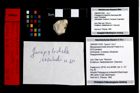 Foto (Objekt + Etikett) von Mesoparapylocheles strouhali (Fraaije et al., 2019)  (NHMW-GEO-1990-0041-3320)